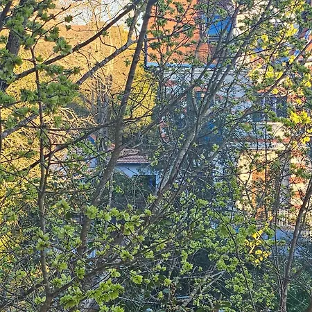 Belle Epoque D'hiver Séjour chez l'habitant Arcachon