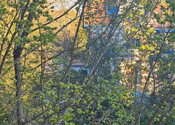 Belle Epoque D'hiver Séjour chez l'habitant Arcachon